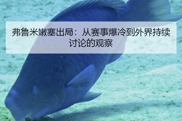弗鲁米嫩塞出局：从赛事爆冷到外界持续讨论的观察